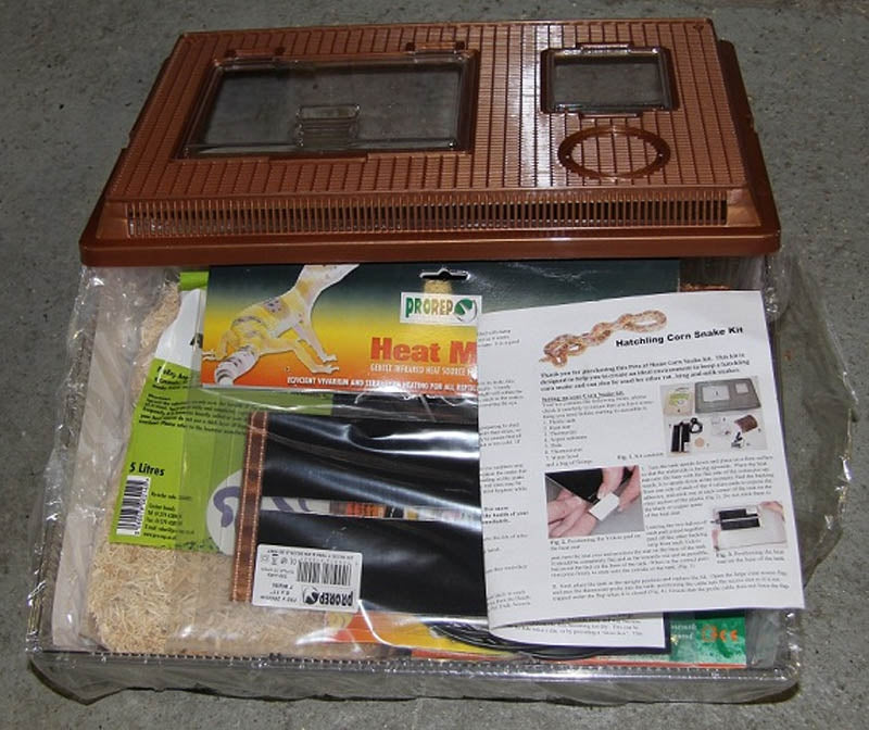 Image showcasing Peregrine - Hatchling Snake Starter Kit – Barks Pets