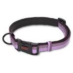 Halti Nylon Adjustable Collar Purple Small 10mm X25-35cm
