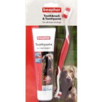 Beapher Toothbrush And Toothpaste