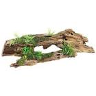 Classic Driftwood & Plants