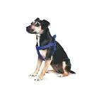 Viva Padded Harness Blue XL 70-98cm